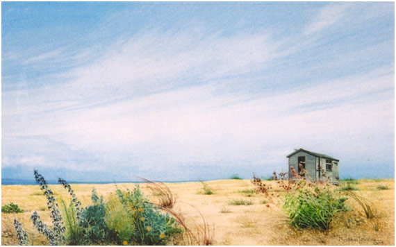 Old Shed, Dungeness Beach